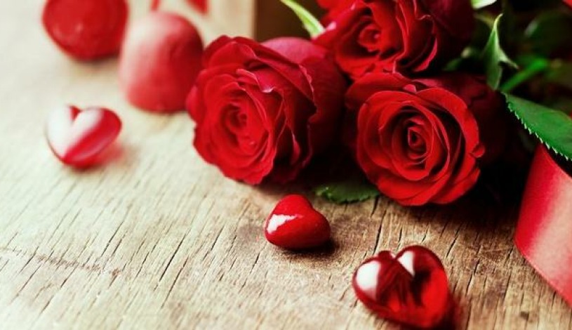 Hotel BOHEMIA relax Františkovy Lázně